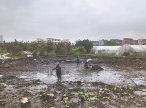 船营河道鱼塘清淤